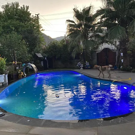 Villa D&l Ortaca (Mugla)