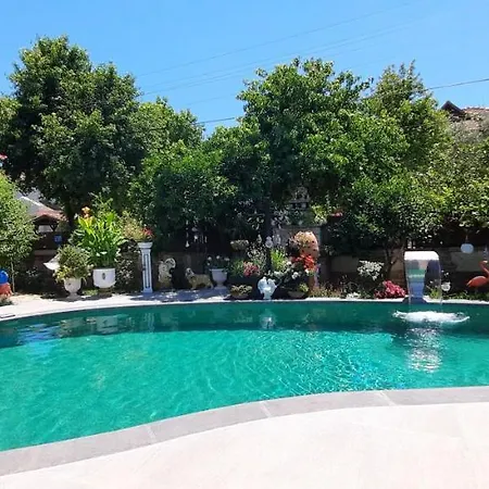 Villa D&l